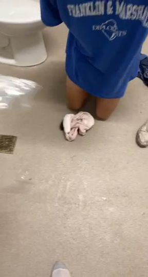 Trash Eating Sub