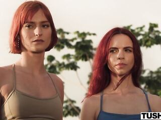 TUSHY Anal-Hungry Chick Dolly Orchid Desires His Rod All To Herself