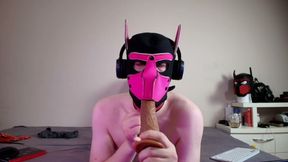 This Could Be Your Cock in Hound's Mouth