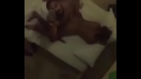 Latina fucking doggystyle In Suriname