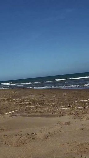 A hotwife and her cuckold on the beach   Clip 1