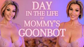 Day in the Life of step-Mommy's Goonbot