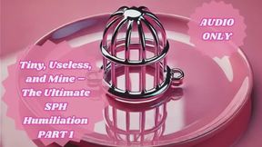 Tiny, Useless, and Mine – The Ultimate SPH Humiliation - PART 1