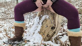 Sloppy Squat Sodomy under Snowy Branches
