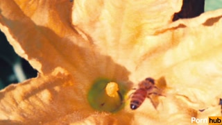 INTERNATIONAL BEE-KAKE PARTY