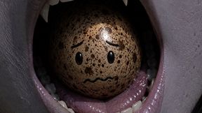 An Eggstremely Unfortunate Adventure.