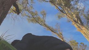 We had a quickie in the woods and then we ended up in the car (very short video)