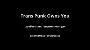 Trans Punk Owns You