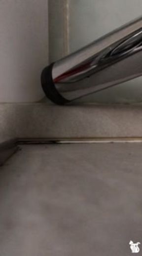 Velvet the giantess and the ants