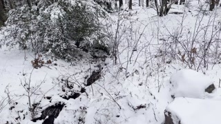 Wintertime Outing Piss and Extreme Deep Throat