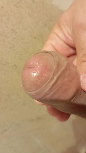 I Present My Penis