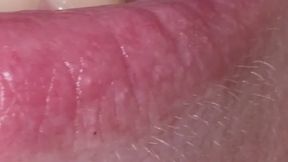 Katjas Mouth Tour (close up)