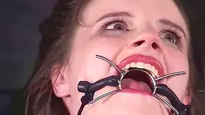 Insex - Az Live Feed