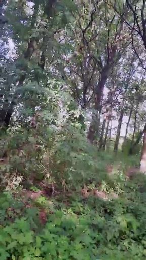 Slutboyben Cam4 Sexy Cruising Chick Iii Live Outdoor Exposure