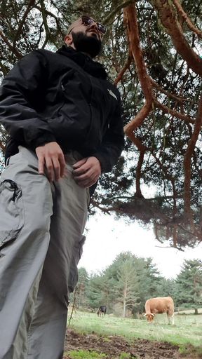 I Got Lost in the Woods, Can Anyone Help Me?