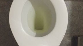 PEE GOLD TOILET PROFIT PERCENT SITTING