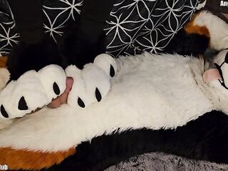pawslut puppy gets back to back pawjobs with giant 2nd spunk fountain at the end