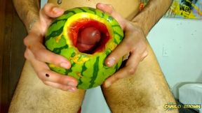 fucking a watermelon until i cum inside it - camilo brown