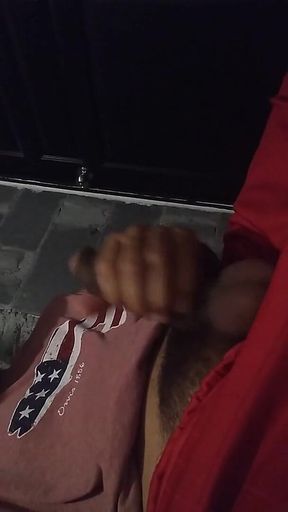 Penis Shaking in the Bathroom