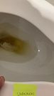 Toilet Seat Fuck and Ruined Orgams