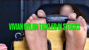 Vivian Nylon Tickled in Stocks