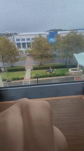Fucking the Girl in the Hotel Window