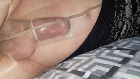 Dani Leg in Tan Pantyhose Showing off Sexy Legs