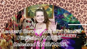 Leopard Corset Fuck Slut Sandra