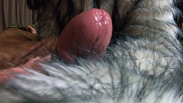 Fur Obsession Continues POV – Bare Hands Handjob, Deepthroat and Cum on My Coat