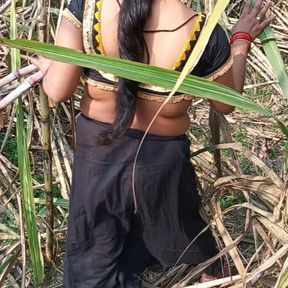 My sexy wife and I in the sugarcane field in Mast Chudai Indian Video