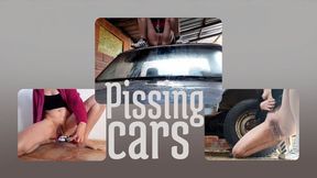 Me pissing cars