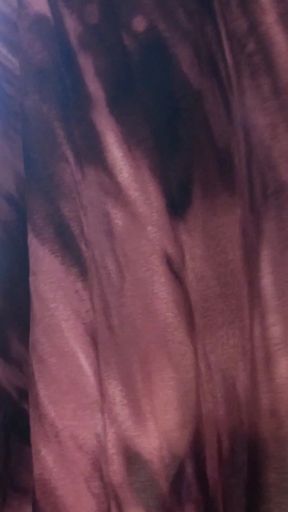 Daphne Dancing Silly in the Sunlight by the Windows