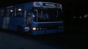 Selva de Pedra Cap&iacute_tulo 8