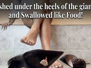 Crushed Underneath the Heels of the Giantess and Drank Like Food!