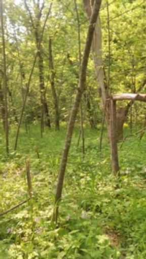 KandyxB enjoys a cigarette while out hiking