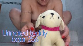 Urinated teddy bear 256