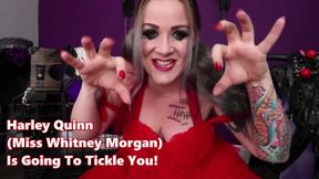 Harley Quinn Is Going To Tickle YOU