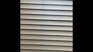 Gf in the shower sneak fuck with Lani Bunny outside almost caught