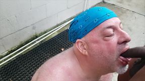 Bear Gets Pissed on by BBC