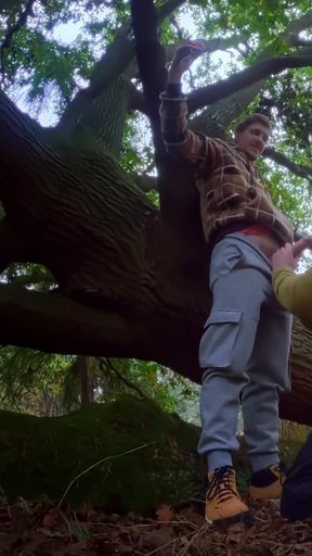 Sneaky BJ at the Park