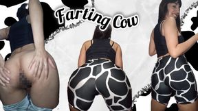 Farting Cow