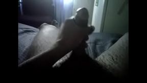 Jamaican cocky