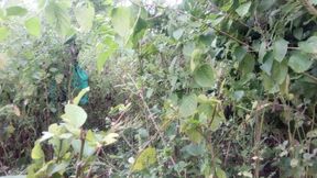 Indian Desi Bhabhi and *** Forest Jungle Sex Videos in Hindi - Collage Girl Sex