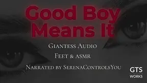 Giantess Foot Worship in ASMR Fantasy