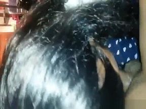 Cute ebony teen deepthroating with nice facial