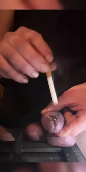 Burning Acorn with Cigarette and Fire Part 2