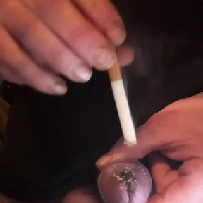 Burning Acorn with Cigarette and Fire Part 2