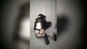 Introducing Nyra Kigurumi Furry Cat