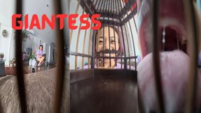 Morning Routine: The Caged Pet