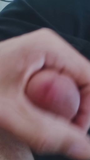 Modification of a three-horned cock makes the arousal peak a different sensation with the size of the large horn more felt on the vergina wall.